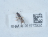  ( - NHMUK015215222)  @11 [ ] Unspecified (default): All Rights Reserved  Unspecified Unspecified