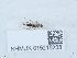  ( - NHMUK015215233)  @11 [ ] Unspecified (default): All Rights Reserved  Unspecified Unspecified