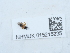  ( - NHMUK015215235)  @11 [ ] Unspecified (default): All Rights Reserved  Unspecified Unspecified