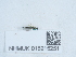  ( - NHMUK015215251)  @11 [ ] Unspecified (default): All Rights Reserved  Unspecified Unspecified