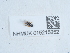  ( - NHMUK015215252)  @11 [ ] Unspecified (default): All Rights Reserved  Unspecified Unspecified