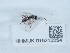  ( - NHMUK015215254)  @11 [ ] Unspecified (default): All Rights Reserved  Unspecified Unspecified