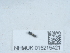  ( - NHMUK015215421)  @11 [ ] Unspecified (default): All Rights Reserved  Unspecified Unspecified