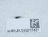  ( - NHMUK015215421)  @11 [ ] Unspecified (default): All Rights Reserved  Unspecified Unspecified