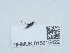  ( - NHMUK015215422)  @11 [ ] Unspecified (default): All Rights Reserved  Unspecified Unspecified