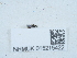  ( - NHMUK015215422)  @11 [ ] Unspecified (default): All Rights Reserved  Unspecified Unspecified