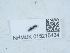  ( - NHMUK015215424)  @11 [ ] Unspecified (default): All Rights Reserved  Unspecified Unspecified