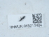  ( - NHMUK015215424)  @11 [ ] Unspecified (default): All Rights Reserved  Unspecified Unspecified