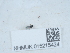  ( - NHMUK015215424)  @11 [ ] Unspecified (default): All Rights Reserved  Unspecified Unspecified