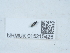  ( - NHMUK015215425)  @11 [ ] Unspecified (default): All Rights Reserved  Unspecified Unspecified