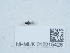  ( - NHMUK015215426)  @11 [ ] Unspecified (default): All Rights Reserved  Unspecified Unspecified