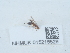  ( - NHMUK015215529)  @11 [ ] Unspecified (default): All Rights Reserved  Unspecified Unspecified