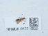  ( - NHMUK015215529)  @11 [ ] Unspecified (default): All Rights Reserved  Unspecified Unspecified