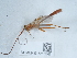  ( - NHMUK015215541)  @11 [ ] Unspecified (default): All Rights Reserved  Unspecified Unspecified
