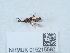  ( - NHMUK015215560)  @11 [ ] Unspecified (default): All Rights Reserved  Unspecified Unspecified