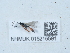  ( - NHMUK015215561)  @11 [ ] Unspecified (default): All Rights Reserved  Unspecified Unspecified