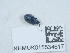  ( - NHMUK015534517)  @11 [ ] Unspecified (default): All Rights Reserved  Unspecified Unspecified