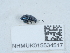  ( - NHMUK015534517)  @11 [ ] Unspecified (default): All Rights Reserved  Unspecified Unspecified