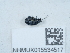  ( - NHMUK015534517)  @11 [ ] Unspecified (default): All Rights Reserved  Unspecified Unspecified