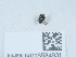  ( - NHMUK015534931)  @11 [ ] Unspecified (default): All Rights Reserved  Unspecified Unspecified