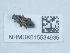  ( - NHMUK015534935)  @11 [ ] Unspecified (default): All Rights Reserved  Unspecified Unspecified
