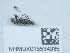  ( - NHMUK015534935)  @11 [ ] Unspecified (default): All Rights Reserved  Unspecified Unspecified