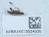  ( - NHMUK015534935)  @11 [ ] Unspecified (default): All Rights Reserved  Unspecified Unspecified