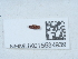 ( - NHMUK015534939)  @11 [ ] Unspecified (default): All Rights Reserved  Unspecified Unspecified