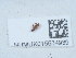  ( - NHMUK015534939)  @11 [ ] Unspecified (default): All Rights Reserved  Unspecified Unspecified