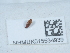  ( - NHMUK015534939)  @11 [ ] Unspecified (default): All Rights Reserved  Unspecified Unspecified