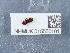  ( - NHMUK015550101)  @11 [ ] Unspecified (default): All Rights Reserved  Unspecified Unspecified