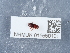  ( - NHMUK015550101)  @11 [ ] Unspecified (default): All Rights Reserved  Unspecified Unspecified