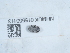  ( - NHMUK015550113)  @11 [ ] Unspecified (default): All Rights Reserved  Unspecified Unspecified