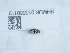  ( - NHMUK015550113)  @11 [ ] Unspecified (default): All Rights Reserved  Unspecified Unspecified