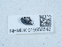  ( - NHMUK015550342)  @11 [ ] Unspecified (default): All Rights Reserved  Unspecified Unspecified