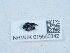  ( - NHMUK015550342)  @11 [ ] Unspecified (default): All Rights Reserved  Unspecified Unspecified