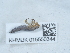  ( - NHMUK015550344)  @11 [ ] Unspecified (default): All Rights Reserved  Unspecified Unspecified