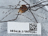  ( - NHMUK015556847)  @11 [ ] Unspecified (default): All Rights Reserved  Unspecified Unspecified