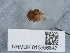  ( - NHMUK015556847)  @11 [ ] Unspecified (default): All Rights Reserved  Unspecified Unspecified