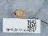  ( - NHMUK015556847)  @11 [ ] Unspecified (default): All Rights Reserved  Unspecified Unspecified