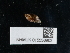  ( - NHMUK015556902)  @11 [ ] Unspecified (default): All Rights Reserved  Unspecified Unspecified