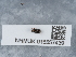  ( - NHMUK015557439)  @11 [ ] Unspecified (default): All Rights Reserved  Unspecified Unspecified