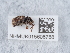  ( - NHMUK015606788)  @11 [ ] Unspecified (default): All Rights Reserved  Unspecified Unspecified
