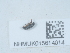  ( - NHMUK015614014)  @11 [ ] Unspecified (default): All Rights Reserved  Unspecified Unspecified