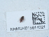  ( - NHMUK015614021)  @11 [ ] Unspecified (default): All Rights Reserved  Unspecified Unspecified