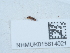  ( - NHMUK015614021)  @11 [ ] Unspecified (default): All Rights Reserved  Unspecified Unspecified