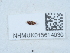  ( - NHMUK015614030)  @11 [ ] Unspecified (default): All Rights Reserved  Unspecified Unspecified