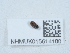  ( - NHMUK015614100)  @11 [ ] Unspecified (default): All Rights Reserved  Unspecified Unspecified