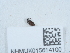  ( - NHMUK015614100)  @11 [ ] Unspecified (default): All Rights Reserved  Unspecified Unspecified