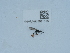  ( - NHMUK015621519)  @11 [ ] Unspecified (default): All Rights Reserved  Unspecified Unspecified